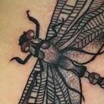 Tattoos - Dragon Fly Tattoo - 129056