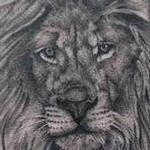 Tattoos - Black and Grey Lion Portrait - 129057