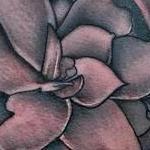 Tattoos - Gardenia Tattoo - 122635