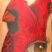 Tattoos - Cardinal - 59720