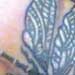 Tattoos - Dragonfly - 5037