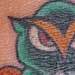 Tattoos - Owl and Skull - 5051