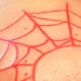 Tattoos - Elbow Spider Web
 - 5038