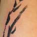 Tattoos - Skull in the Reeds - 5056