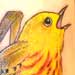 Tattoos - Yellow Warbler - 28329