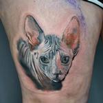 Tattoos - Sphynx Cat Portrait  - 141049