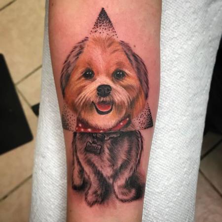 Chad Pelland - Adorable puppy portrait