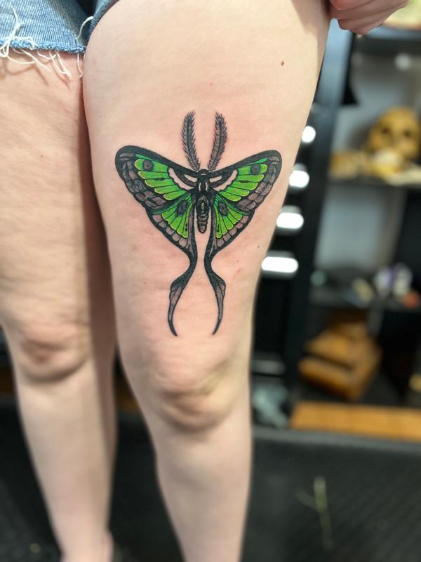 Tattoo uploaded by Bekka  HEALED fineline luna moth tattoo healed moth  lunamoth rose gemtattoo  Tattoodo