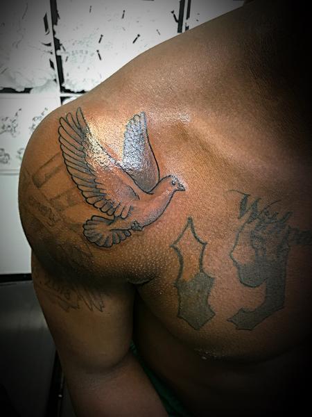 Tattoos - Black and grey dove  - 140131