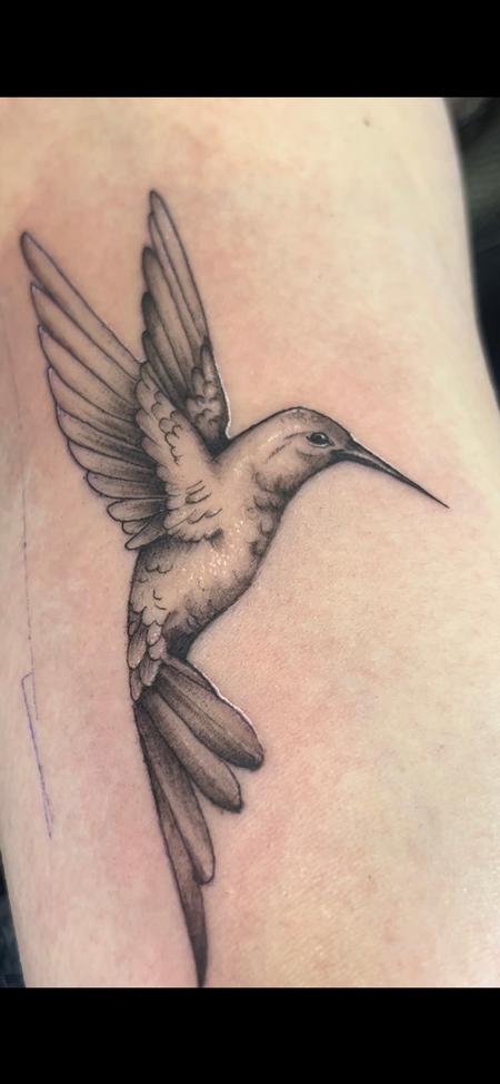 Tattoos - Humming bird - 145182