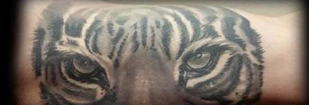 Tattoos - Tiger’s Eyes, HEALED - 140956