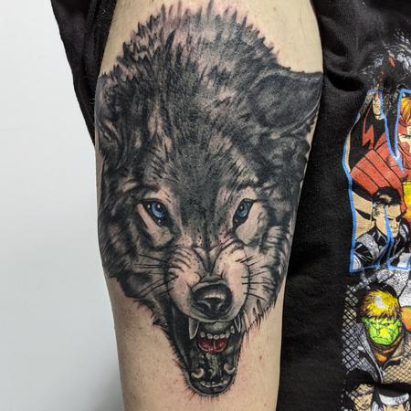 Jeff Hamm (MADISON) - Wolf portrait