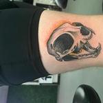 Tattoos - Cat skull - 145960