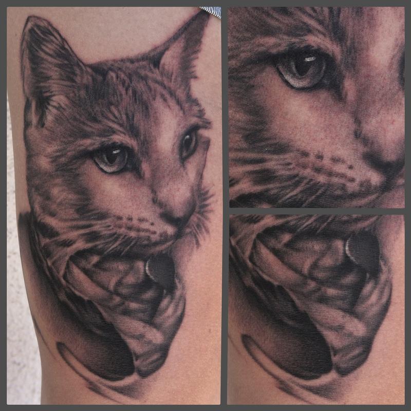 Cat tattoos  Cat tattoo Tattoos Black and grey tattoos