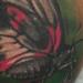 Tattoos - colorful realistic portrait of a butterfly tattoo - 64045