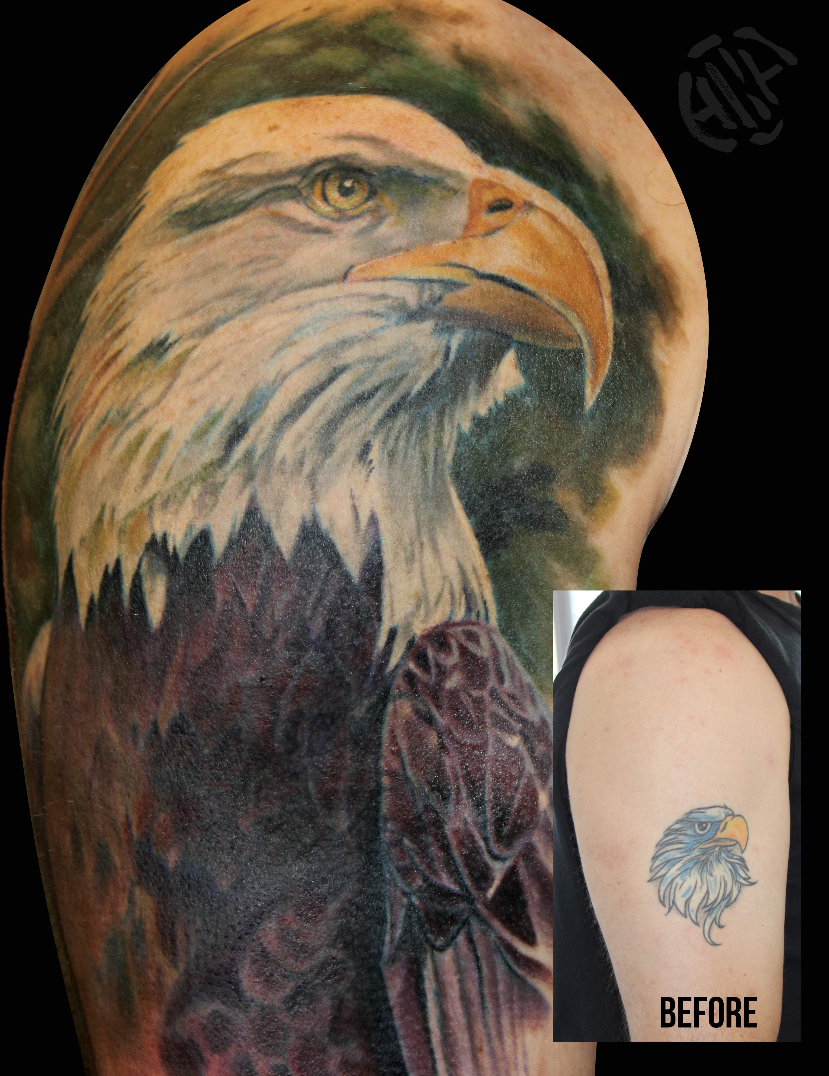 Bald Eagle Cover-Up by BIAGIO_