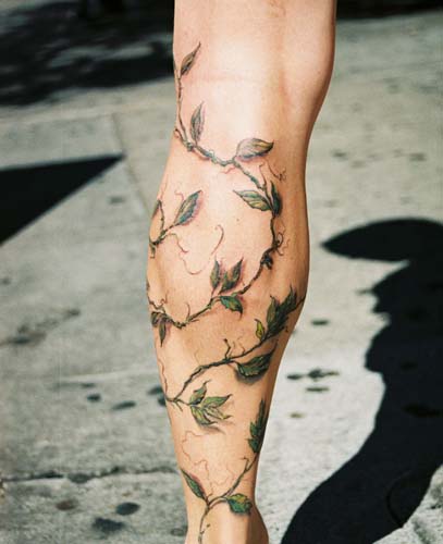 50 Vine Tattoos  Tattoo Designs Ideas  Meaning  Tattoo Me Now