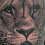 Tattoos - Lion Portrait Tattoo - 115682