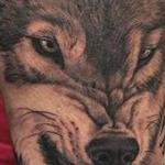 Tattoos - Snarling Wolf Tattoo - 115684