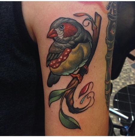 Tattoos - Zebra Finch - 95502