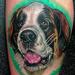 Tattoos - Portrait of a St. Bernard - 75762