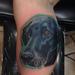 Tattoos - Dog portrait  - 89925