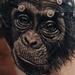 Tattoos - Chimp with Brain Probes - 93657