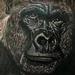 Tattoos - In Progress Gorilla  - 97938