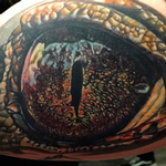 Tattoos - Healed Alligator Eye - 100532
