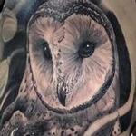 Tattoos - Owl & Chrysanthemum  - 113837