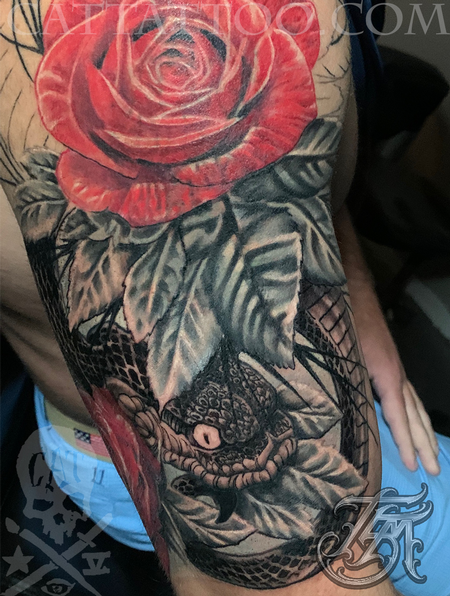 Terry Mayo - Progress shot of a snake and rose color half sleeve