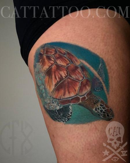 Tattoos - Turtle - 145417