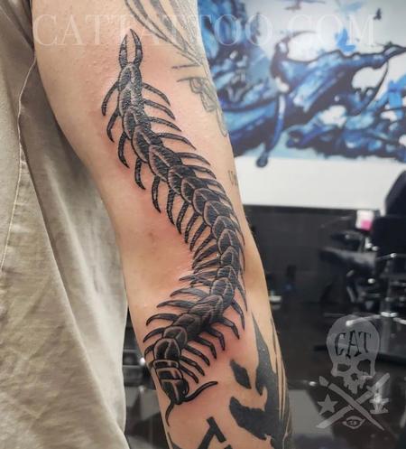 Tattoos - Centipede  - 143492