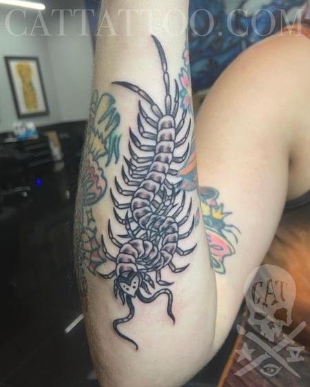 Tattoos - Centipede - 145540