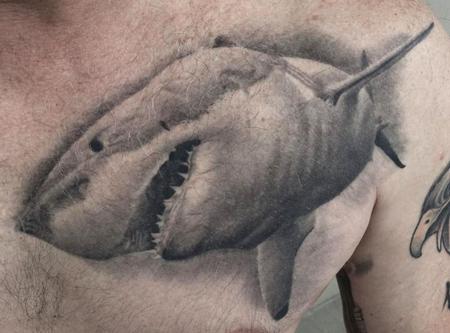 Tattoos - Shark - 127494