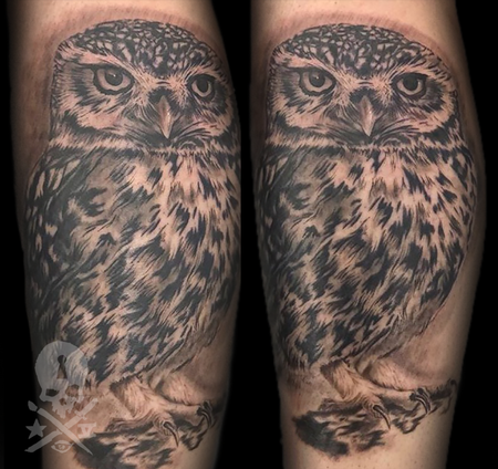 Tattoos - Owl - 133979