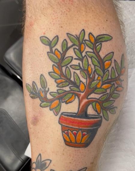 Tattoos - Traditional Style POtted Plant Calf Tattoo - 145492