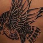 Tattoos - Peregrine Falcon  - 143598