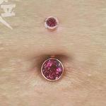 Prints-For-Sale - Navel/BVLA - 125584