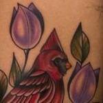 Tattoos - Cardinal - 143246