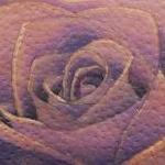 Prints-For-Sale - Elephant Rose  - 128892