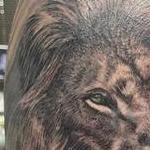 Tattoos - Lion rework  - 144791