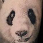 Tattoos - Healed Panda - 143624