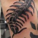 Tattoos - Centipede  - 143492