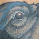Tattoos - Blue Jay - 143949
