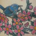 Tattoos - Cherry Blossoms - 143939