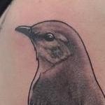 Tattoos - Mockingbird  - 143662