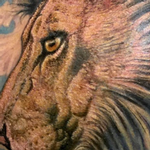 Prints-For-Sale - Color Lion Tattoo - 138764