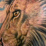 Tattoos - Color Lion Tattoo - 138764