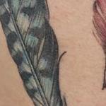 Tattoos - Feathers - 143680